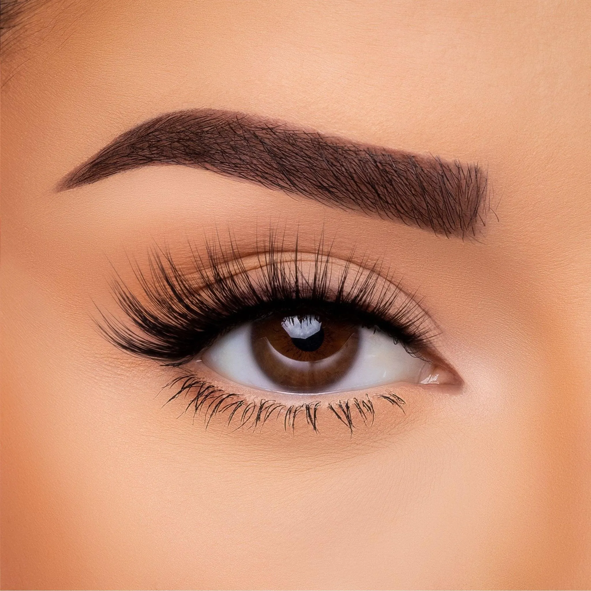 3D Silk Lash Collection