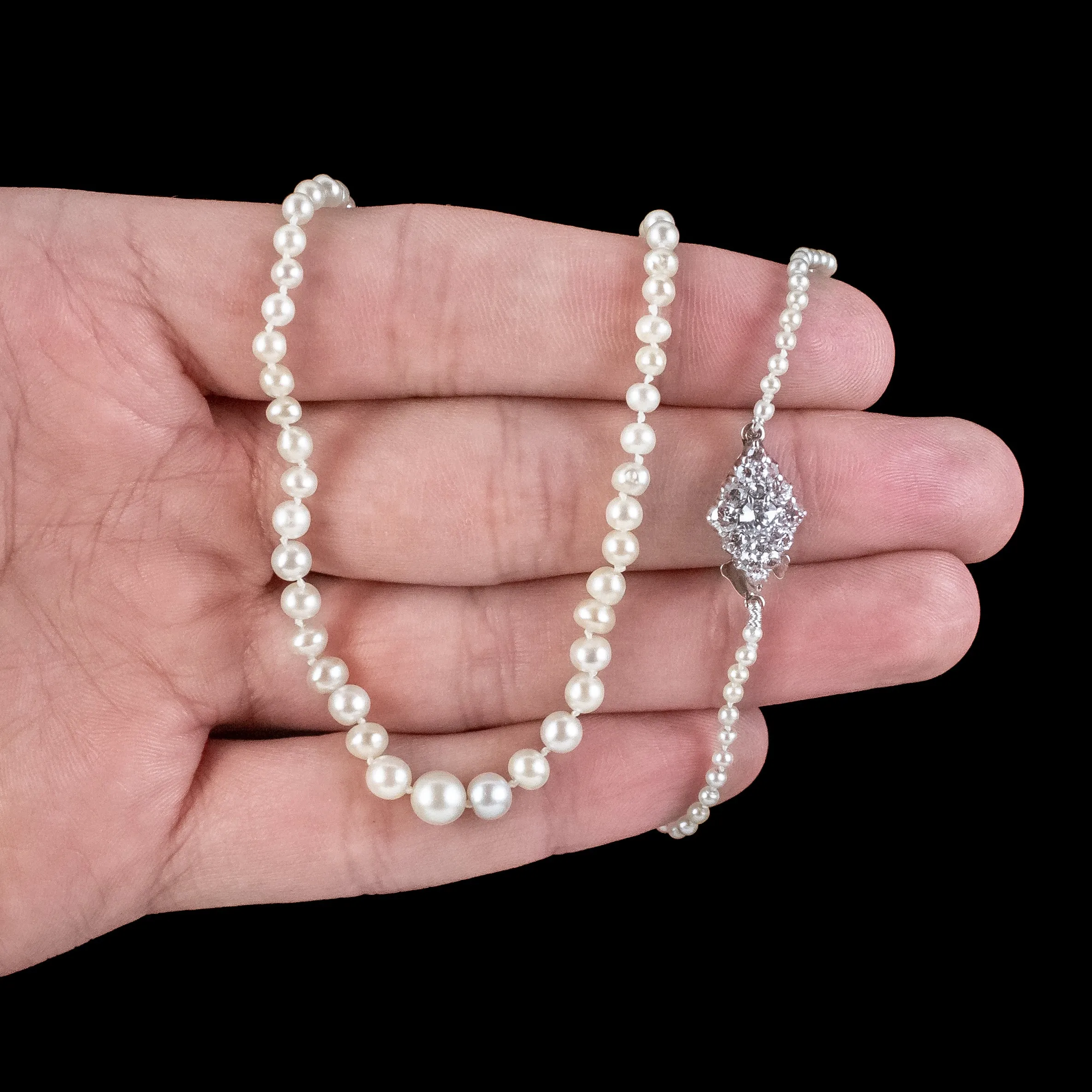 Antique Edwardian Natural Pearl Necklace Diamond Clasp With Box And Cert